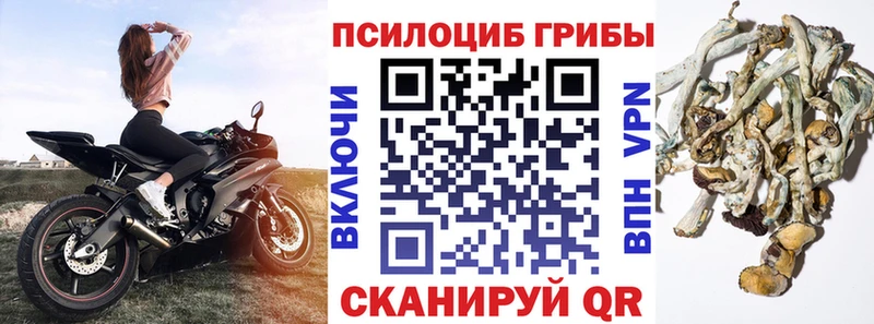 Галлюциногенные грибы Magic Shrooms купить наркоту Артёмовский